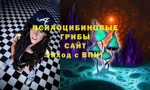 МДПВ Балахна