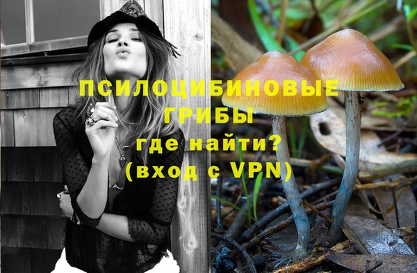 прущие крисы Беломорск