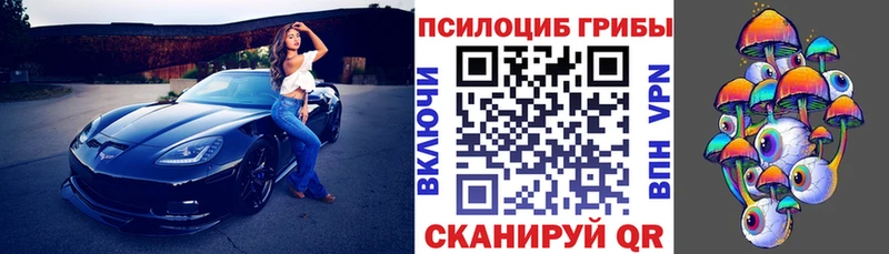 Псилоцибиновые грибы мицелий  даркнет какой сайт  Кушва 